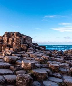 Giant Causeway and Dark Hedges Day Tour