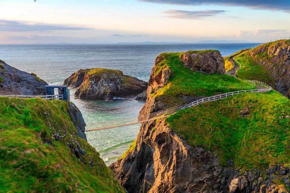 Giant Causeway and Dark Hedges Day Tour