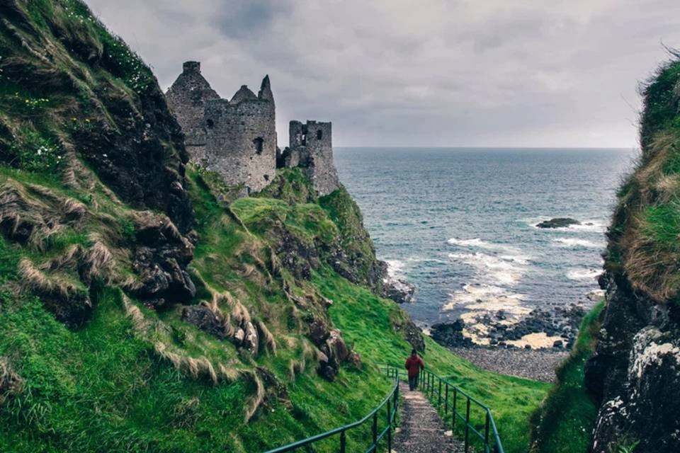 Giant Causeway and Dark Hedges Day Tour