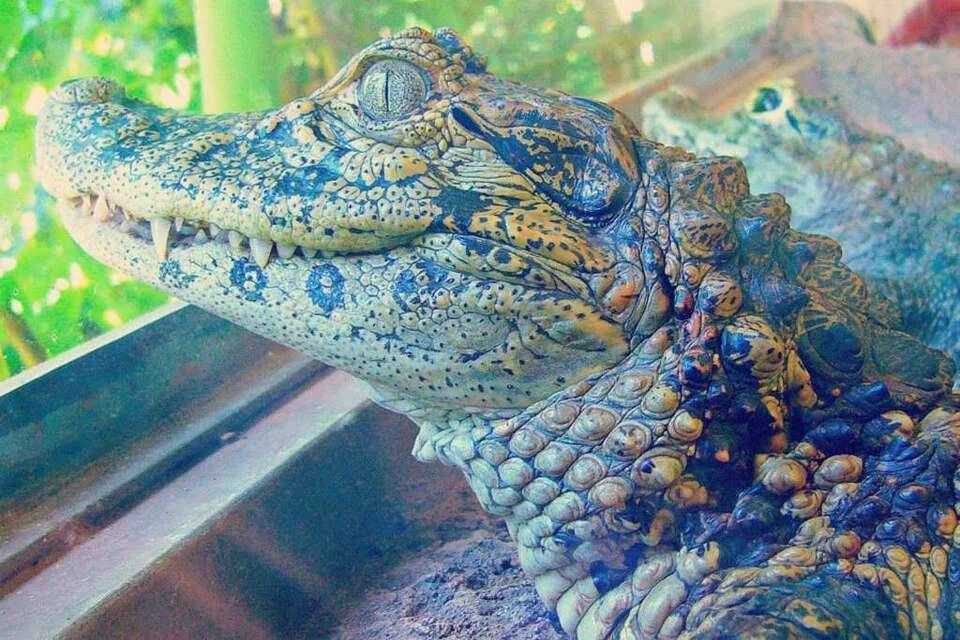 Explore Natural Diversity Exploration at the Iguazu Biocenter