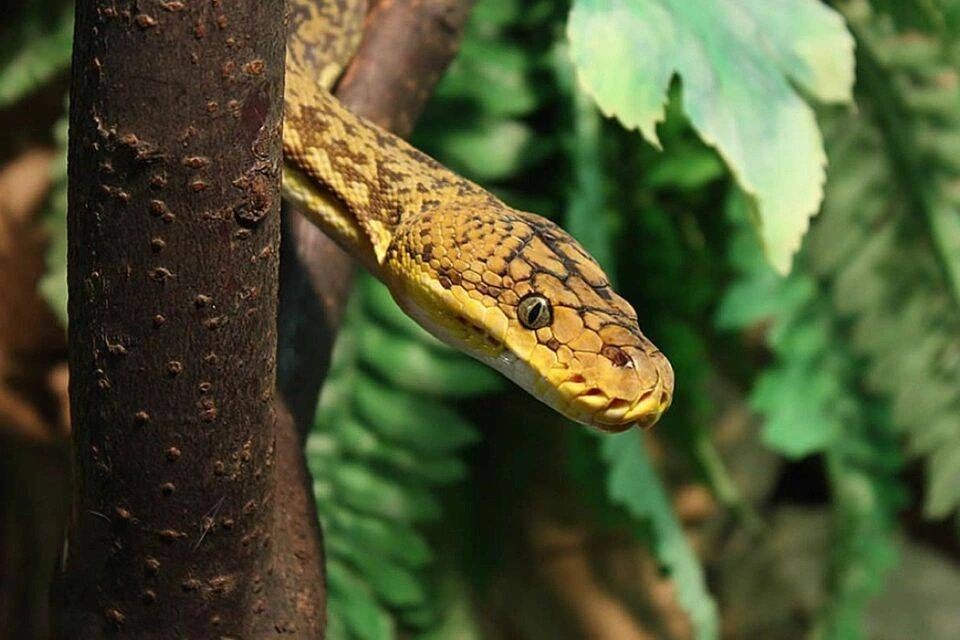 Explore Natural Diversity Exploration at the Iguazu Biocenter