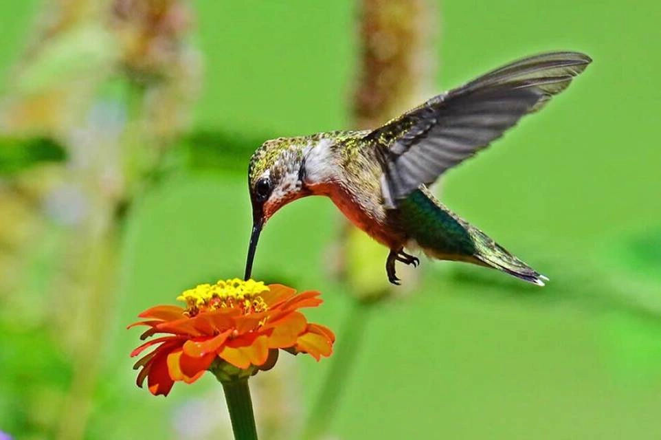 Explore Natural Diversity Exploration at the Iguazu Biocenter