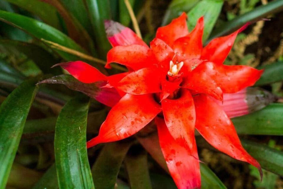 Explore Natural Diversity Exploration at the Iguazu Biocenter