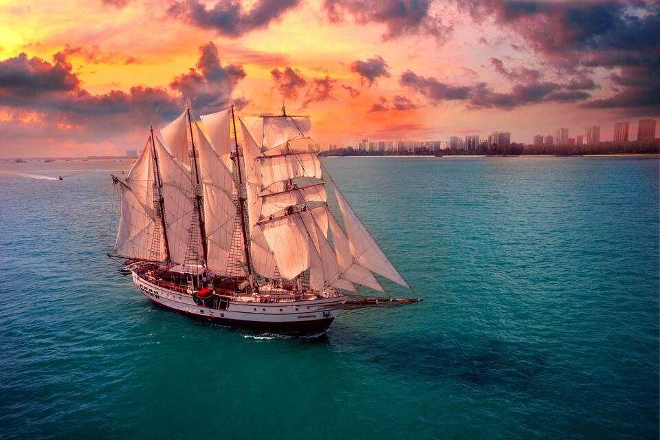 Royal Albatross Sunset Dinner Cruise