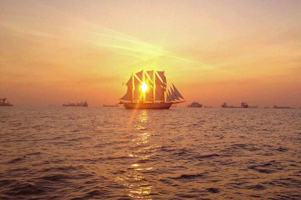 Royal Albatross Sunset Dinner Cruise