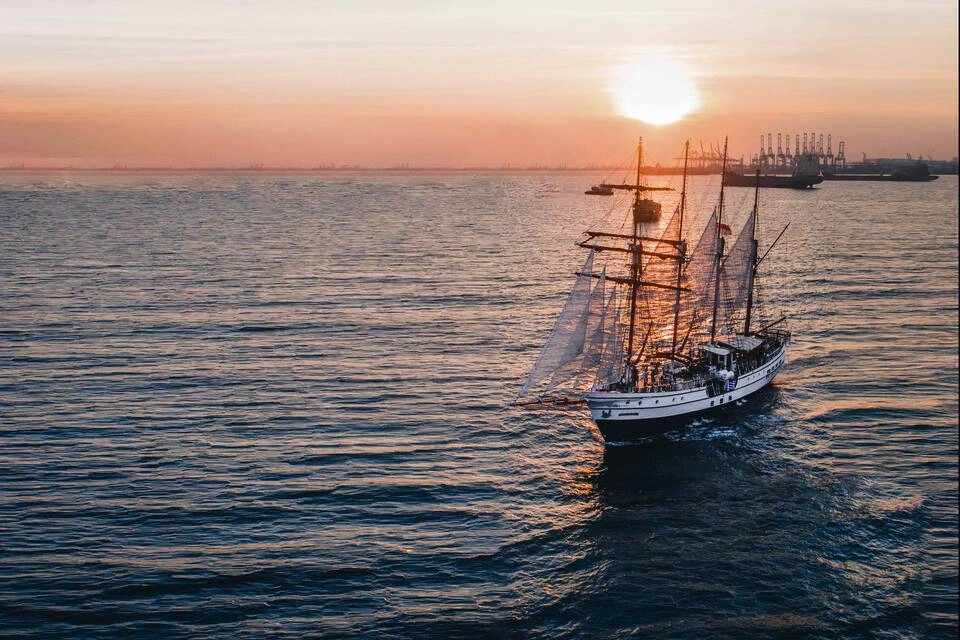Royal Albatross Sunset Dinner Cruise