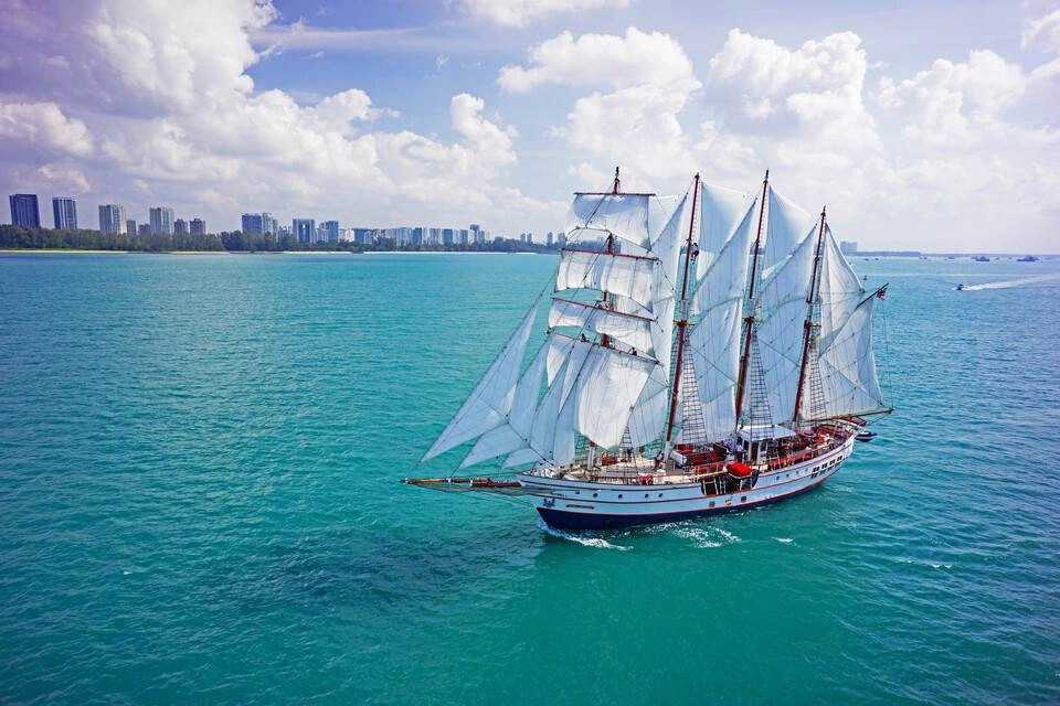 Royal Albatross: International Buffet Breakfast Cruise (Dog-Friendly Sail)