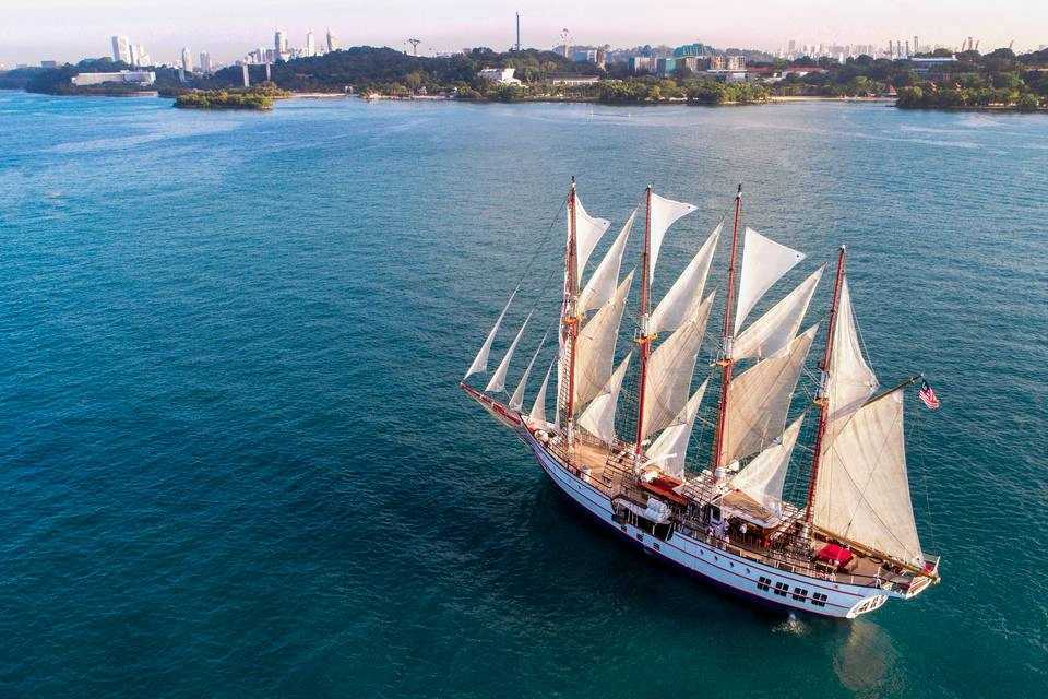 Royal Albatross: International Buffet Breakfast Cruise (Dog-Friendly Sail)