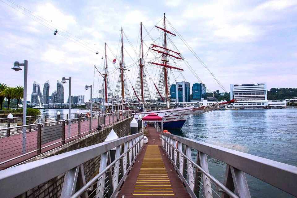 Royal Albatross: International Buffet Breakfast Cruise (Dog-Friendly Sail)