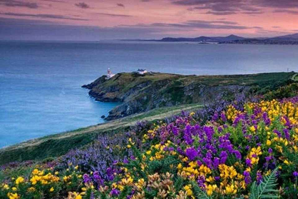 Big Bus Tours: Dublin Coastal Tour