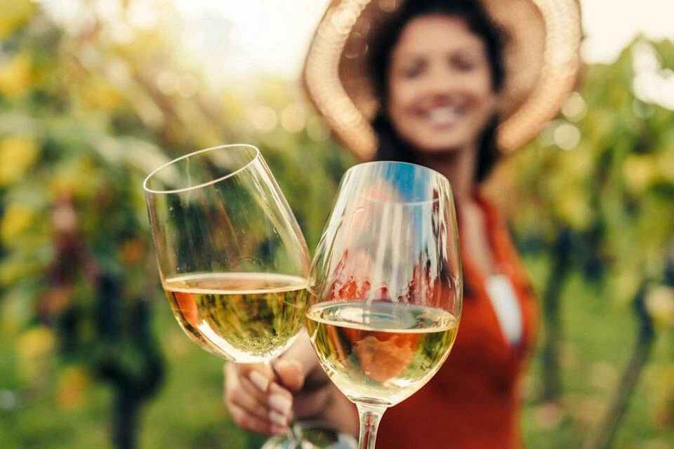 Big Bus: San Francisco Wine Country Tours