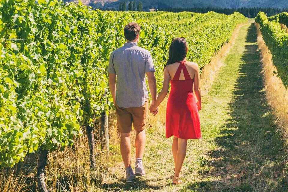 Big Bus: San Francisco Wine Country Tours