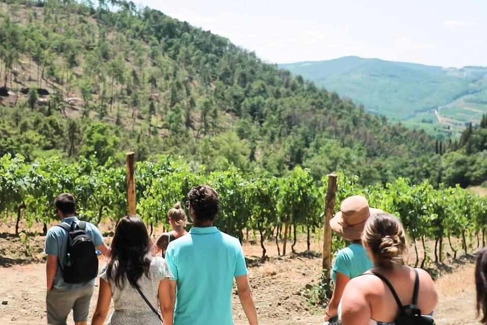 Chianti Authentic Experience Morning Tour with Wineries, Cellars Visit and Wine Tastings