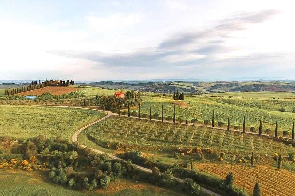 Siena Cathedral, San Gimignano, Pisa and Chianti with Lunch in a Wine Farm