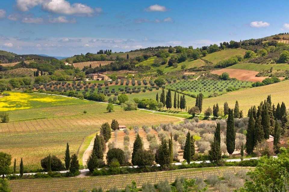 Chianti Authentic Experience with Wine Tastings