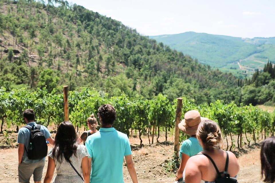 Chianti Authentic Experience with Wine Tastings