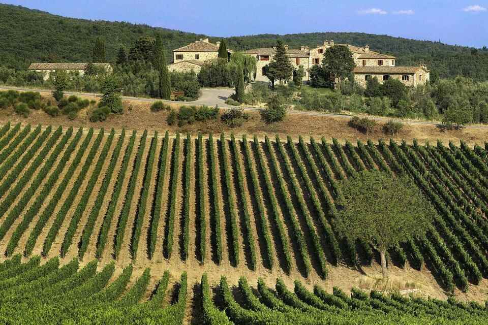 Chianti Authentic Experience with Wine Tastings