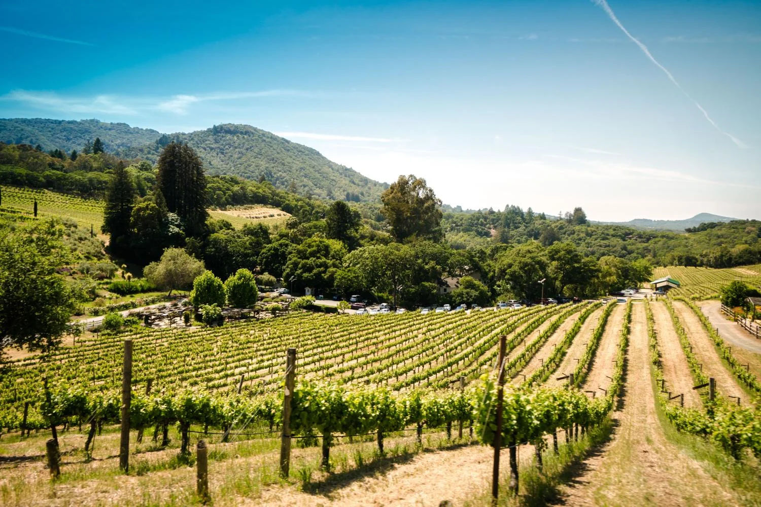 The Essence of Tuscany - Chianti Classico, Montalcino and Montepulciano