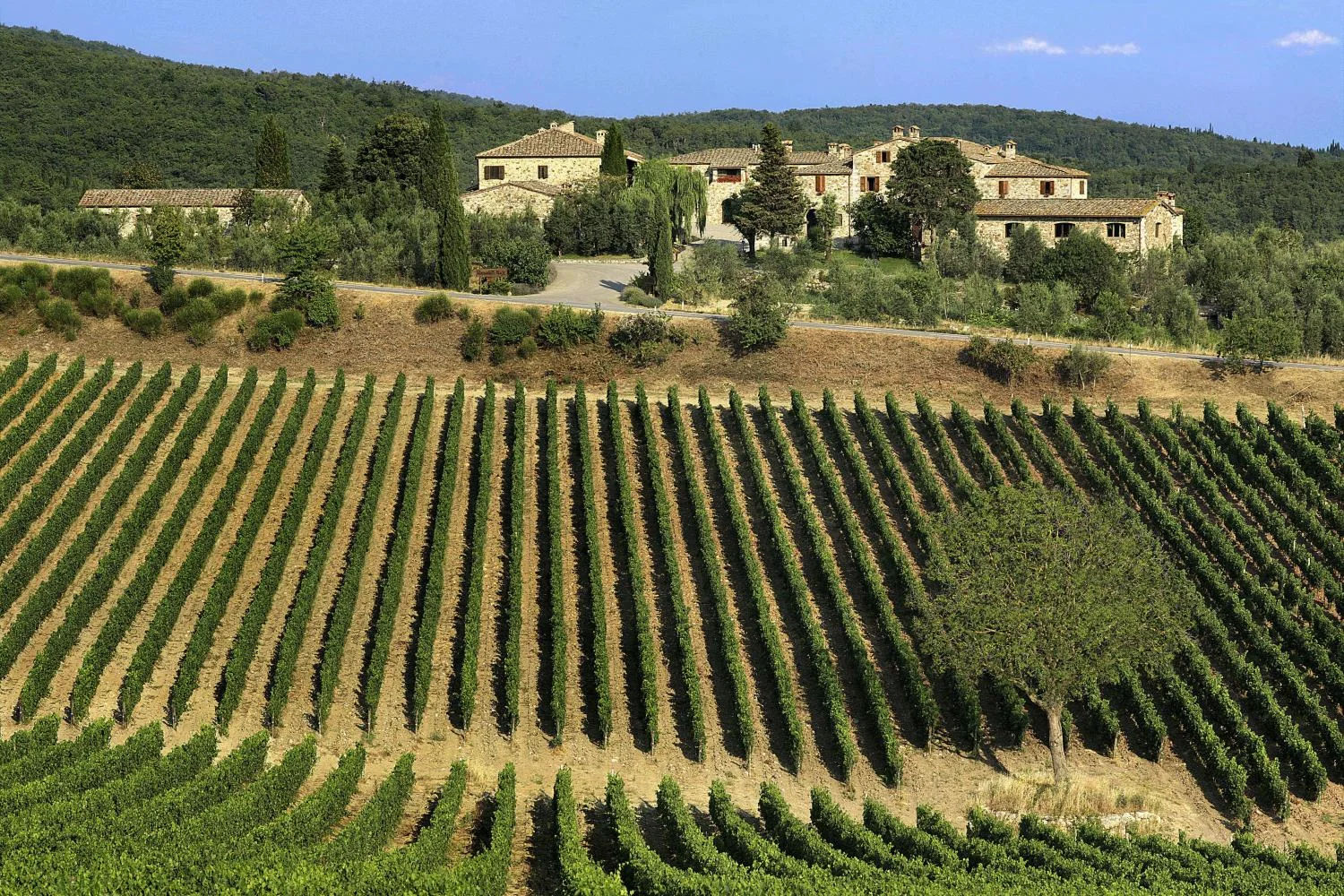The Essence of Tuscany - Chianti Classico, Montalcino and Montepulciano