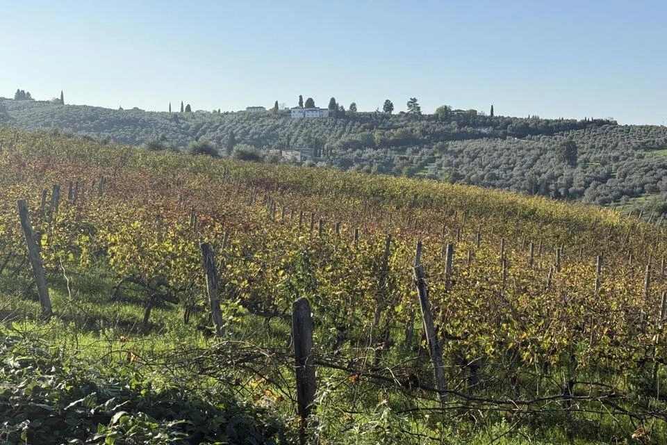 Florence to Chianti by E-Bike: Ride Through Vineyards and Hills