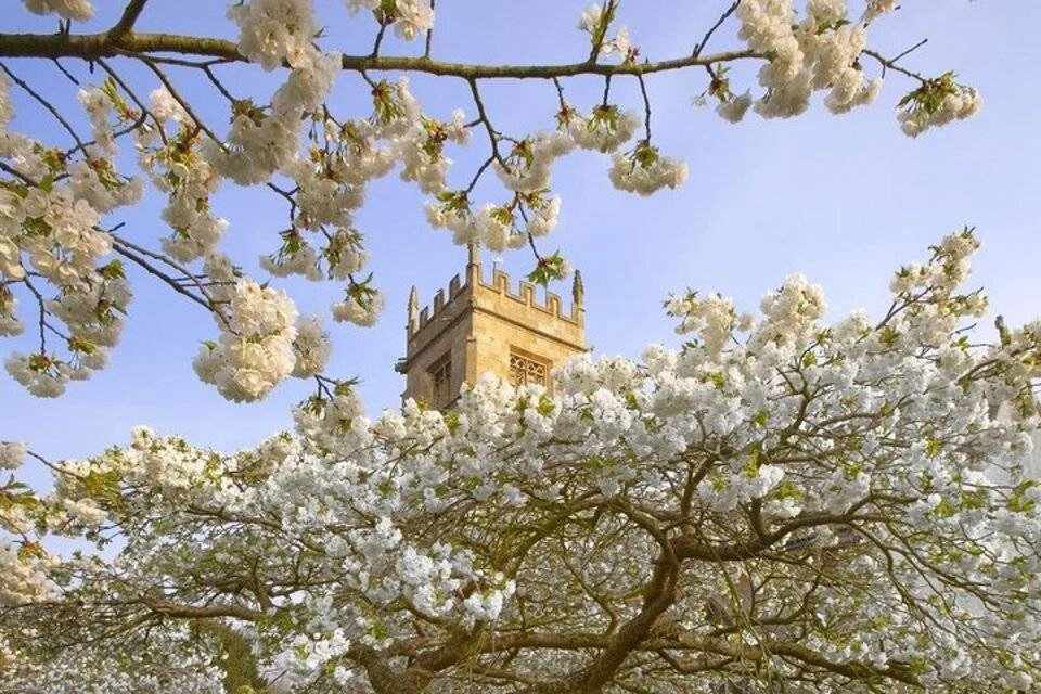 Villages of The Cotswolds- Small Group Tour