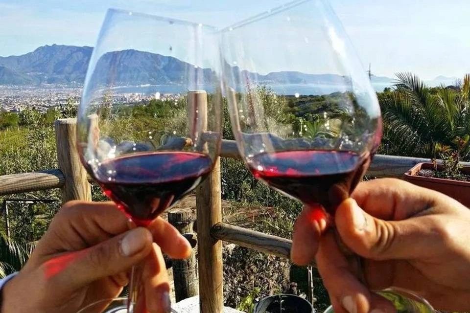 Pompeii Tour from Naples with Wine Tasting