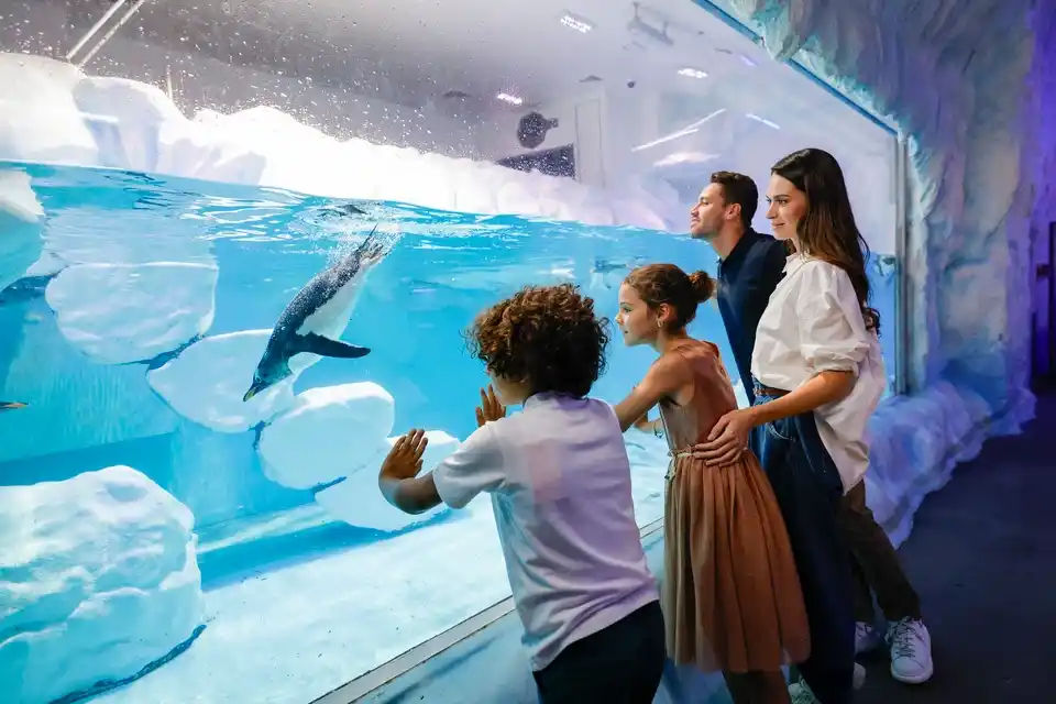 City Sightseeing: Sky Views + Dubai Aquarium + Dubai Hop-On, Hop-Off Bus Tour
