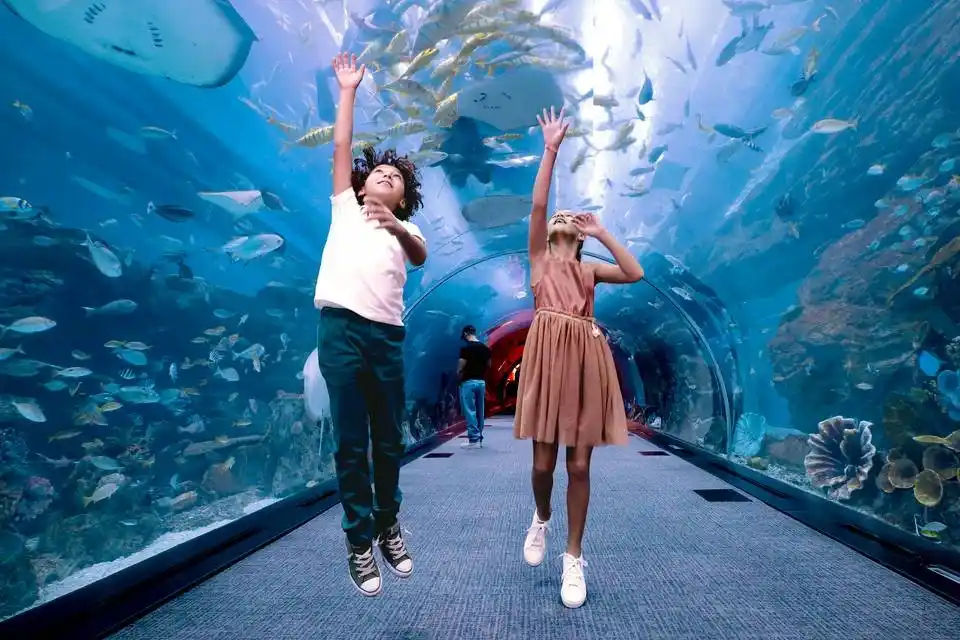City Sightseeing: Sky Views + Dubai Aquarium + Dubai Hop-On, Hop-Off Bus Tour