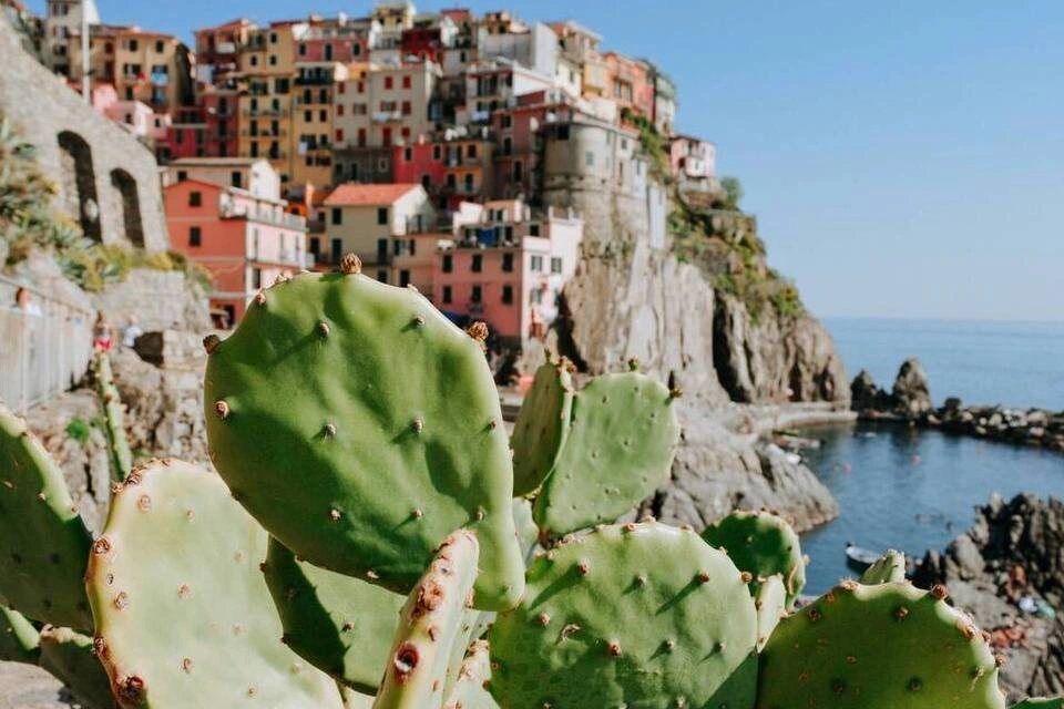 Excursion to Pisa and Manarola with Entrance to the Leaning Tower from La Spezia
