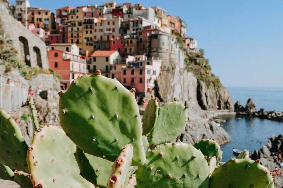 Excursion to Pisa and Manarola from La Spezia: The Jewel of Cinque Terre