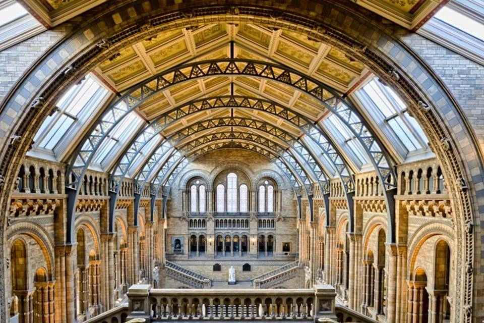 Natural History Museum Express Guided Tour and Audio Guide