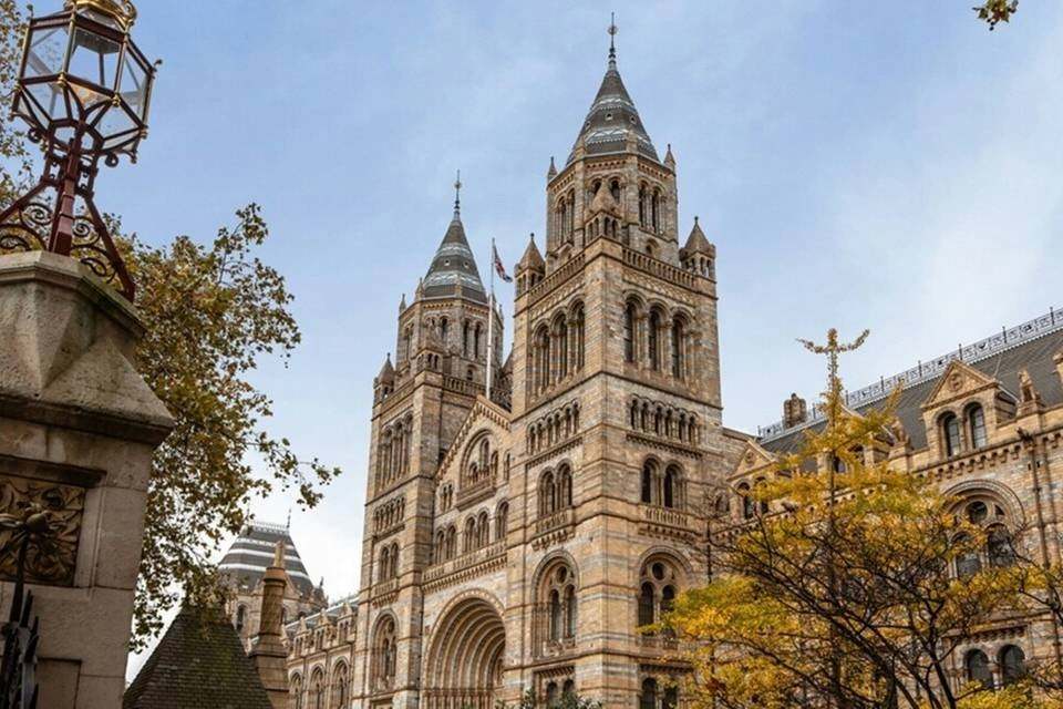 Natural History Museum Express Guided Tour and Audio Guide