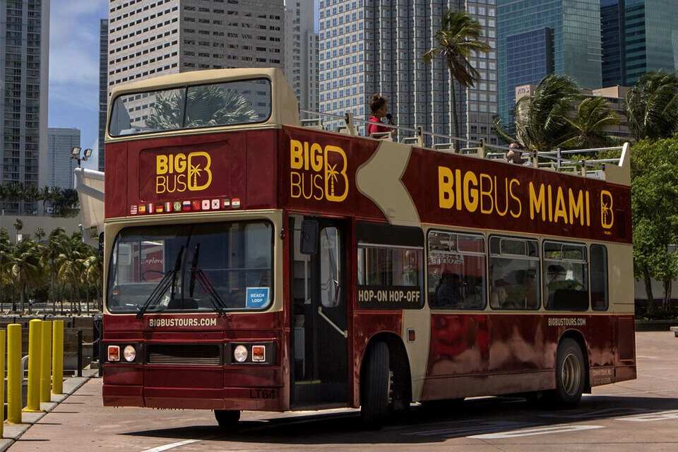 Big Bus Tours: Miami Hop-On, Hop-Off Discover Ticket with Everglades Experience