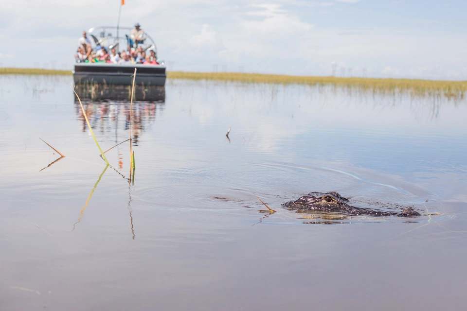Big Bus Tours: Miami Hop-On, Hop-Off Discover Ticket with Everglades Experience