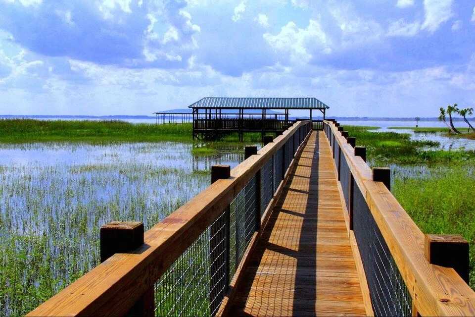 Roundtrip Transportation to Wild Florida (Without Activity Tickets)