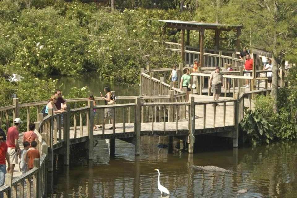 Airboat Ride and Gatorland Park Combo