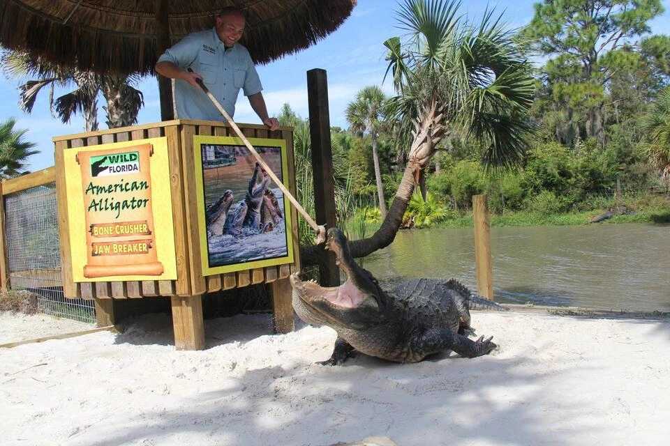 Airboat Adventure Package at Wild Florida with Roundtrip Transportation