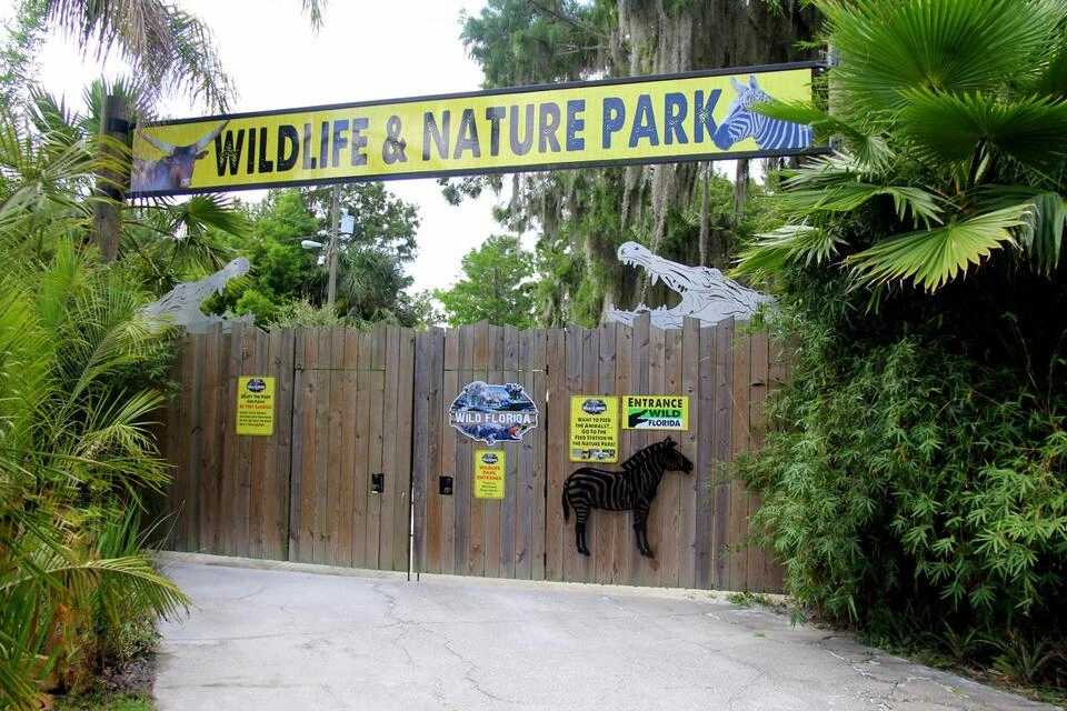 Airboat Adventure Package at Wild Florida with Roundtrip Transportation