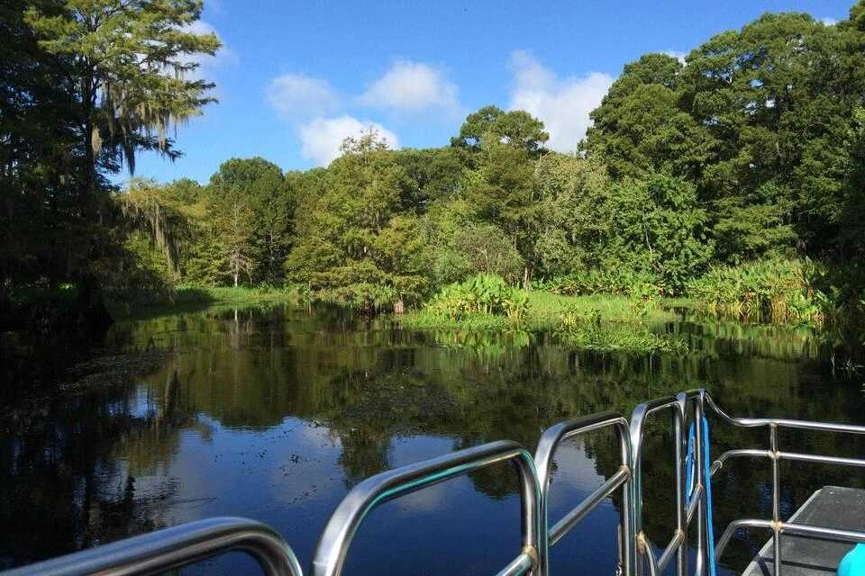 Airboat Adventure Package at Wild Florida with Roundtrip Transportation
