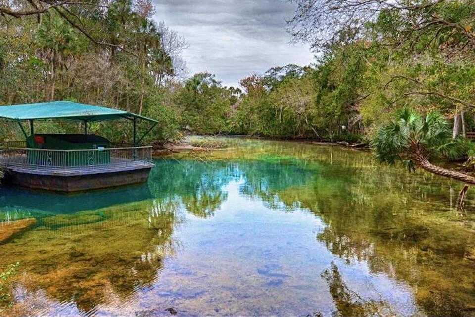 Manatees Swim, Snorkel and Boat Day Tour with Optional Airboat Ride