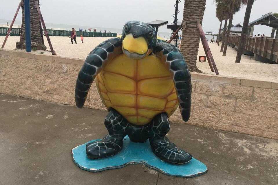 Clearwater Beach Day Tour
