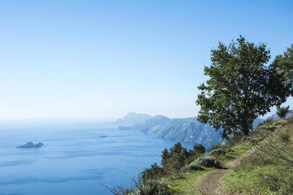 Path of The Gods Hiking Tour from Sorrento