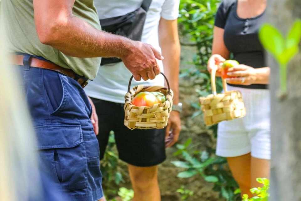 Sorrento Cooking Class & Food Experience