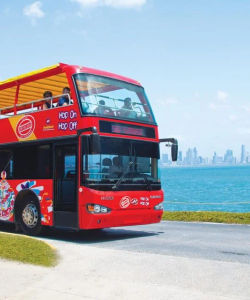 City Sightseeing: Panama City Hop-On, Hop-Off Bus Tour
