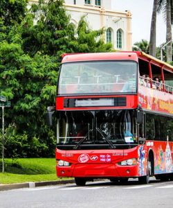 City Sightseeing: Panama City Hop-On, Hop-Off Bus Tour