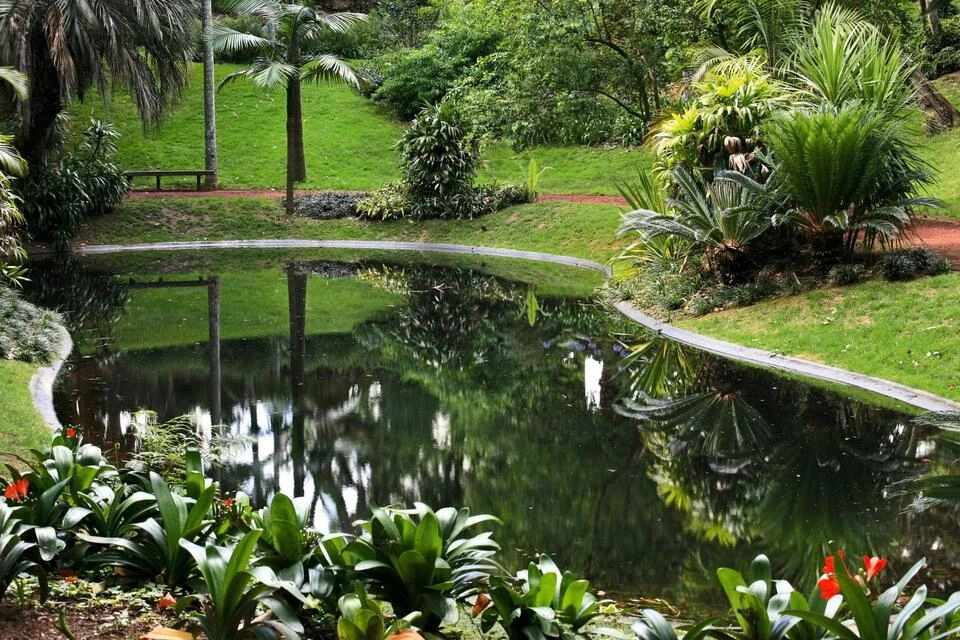 Carvão Cave and Gardens Tour