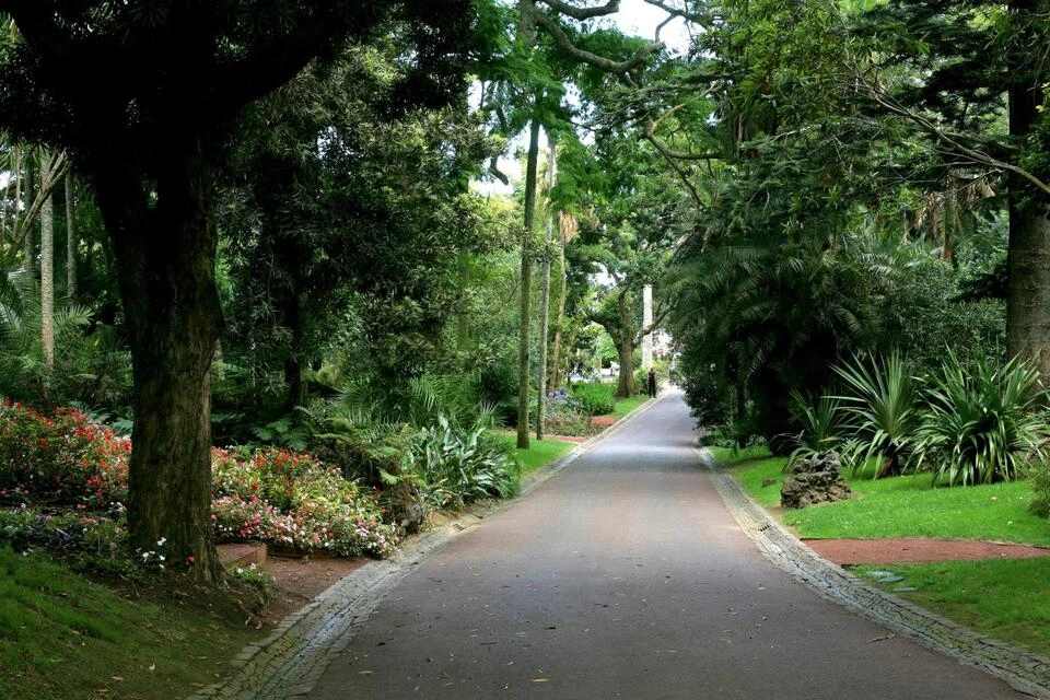 Carvão Cave and Gardens Tour