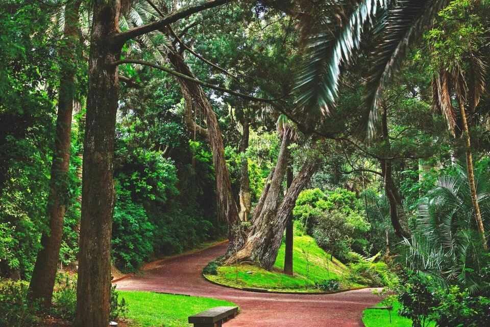 Carvão Cave and Gardens Tour