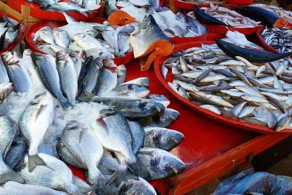 Rabo de Peixe: From the Market to the Harbour