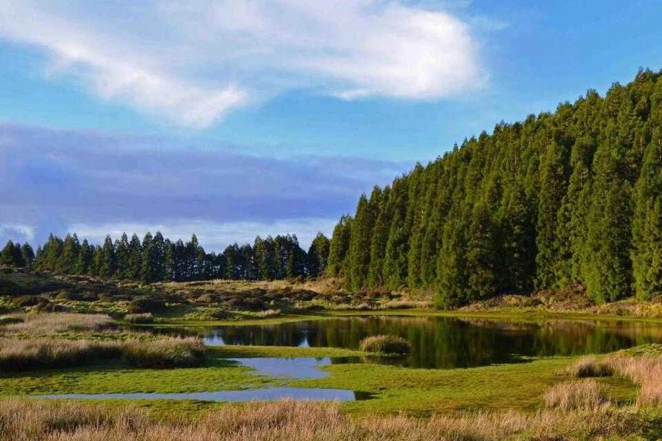 Terceira Island: A Journey to the Volcanic Heart of the Azores